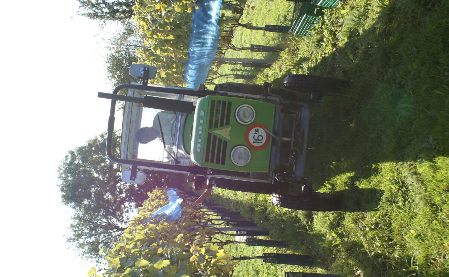 Op de kleine tractor door de wijngaard...